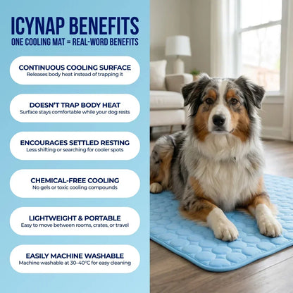 PolarComfort – Breathable Pet Cooling Bed