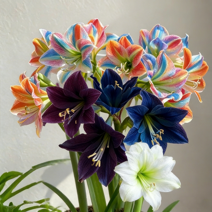 FloraCrown – Luxury Flower Bulbs
