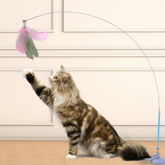 CatVibe – Stimulierendes interaktives Spielzeug-Set