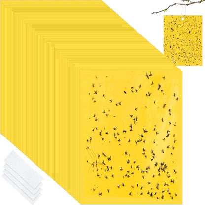 InsectLock – Ultra Sticky Pest Traps