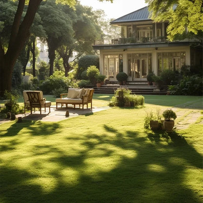 EverLawn – All-Season Green Grass Seed