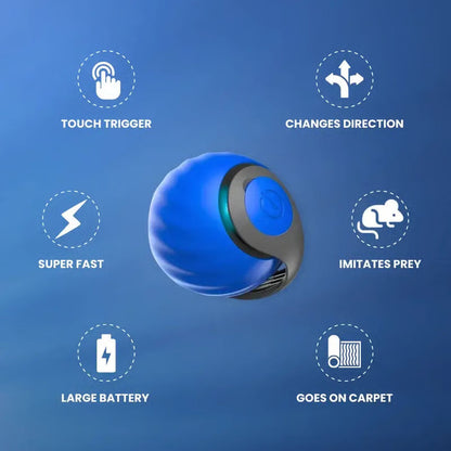 CatChase – Electric Rolling Ball