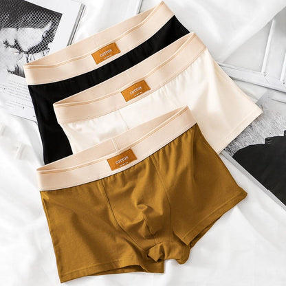 Cotton Boxer Shorts | BELIVITE